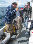 Image94.jpg