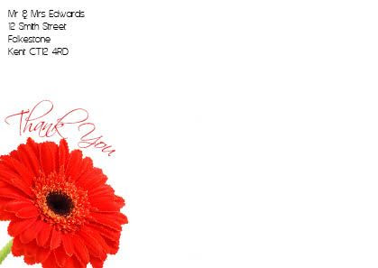 Red Gerbera 9 Thank You Notepaper