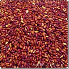 ارز الخميرة الحمراء يقلل نسبة الكلسترول Red-yeast-rice_thumb%25255B2%25255D