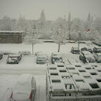 Snowfall 2010