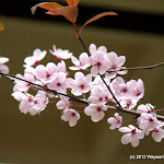 IMG_6191.jpg