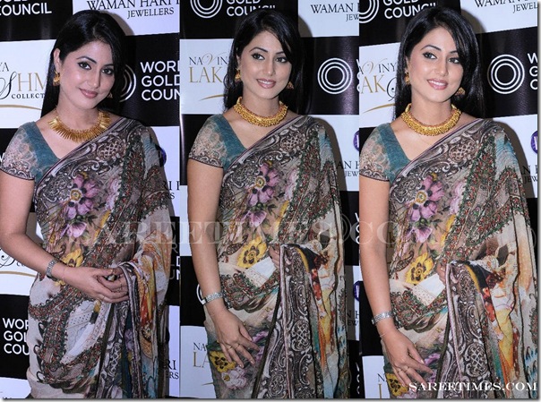 Heena_Khan_Pinted_Saree