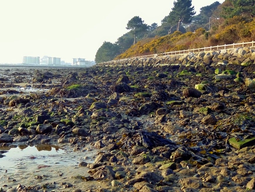 [DSC01790%2520%25281300x975%2529%255B4%255D.jpg]