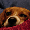 DSC06655.JPG