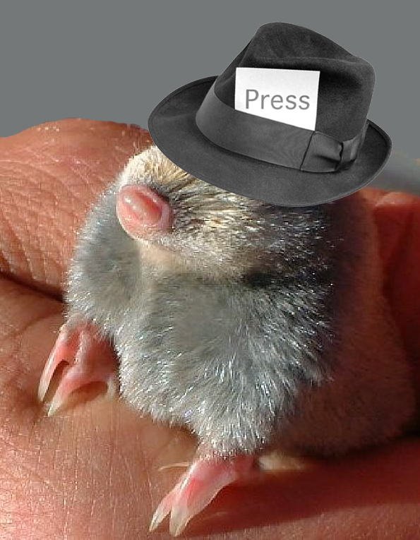 [little-mo-press-hat3.png]
