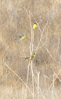 DSC_7608.jpg