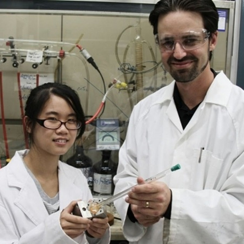 Crean la esponja solar que absorbe CO2