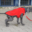 IMG_1191.JPG