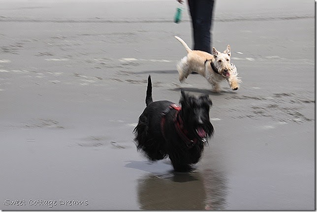 IMG_3523 IMG_3523