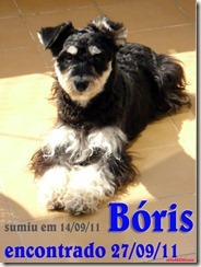 boris_encontrado