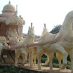 DSC08978.JPG