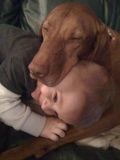 Duke Buehrle thinks this is as good (and adorable) a resting place as any! Duke Buehrle thinks this is as good (and adorable) a resting place as any!