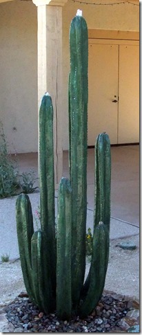 Cactus fountain 4-29-2013 9-44-01 AM 948x2254