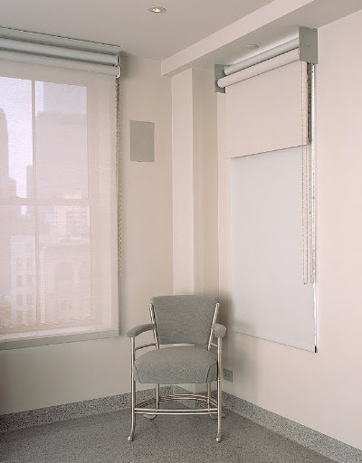 For the window treatments, Alexis wanted stacked pairs of shades -- one translucent and the other totally opaque -- operated by exposed mechanisms.