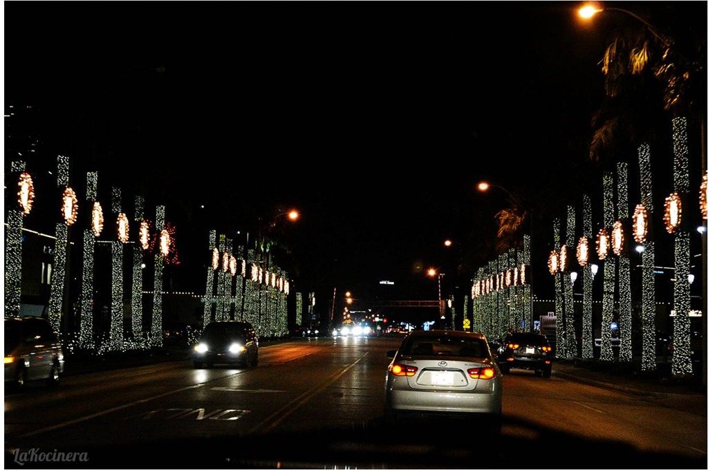 [christmas-lights4.jpg]