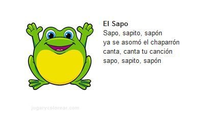 12 - el sapo