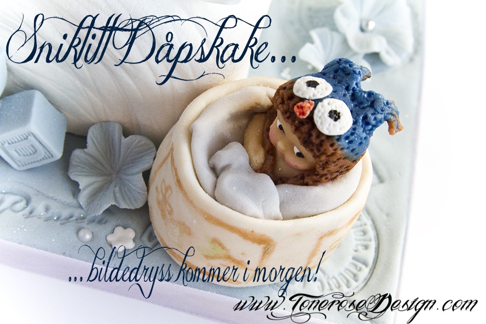 [IMG_4836%2520d%25C3%25A5pskake%255B5%255D.jpg]