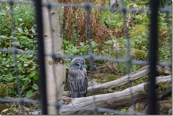 DSC_0726 DSC_0726