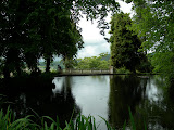 DSCN2953.JPG
