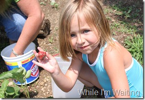 2011 Jun 08_0008 2011 Jun 08_0008