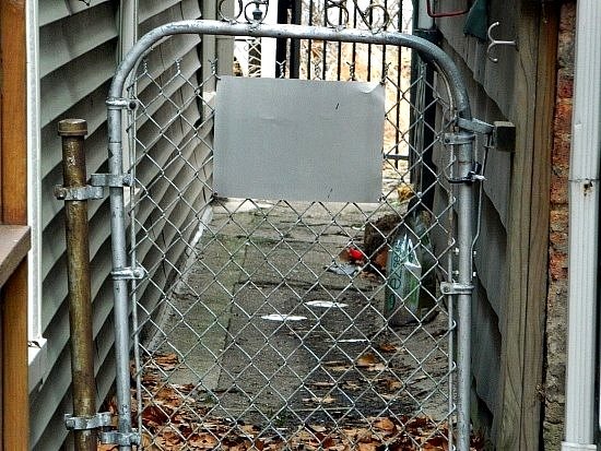 [Wordless%2520Wed%2520backyard%2520fence%2520final%255B4%255D.jpg]