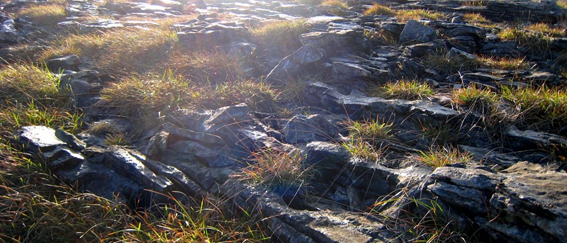 [IMG_2779%255B6%255D.jpg]