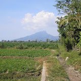 Gunung Ringgit from the west (Daniel Quinn, July 2011)