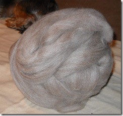 3.-spinnversuch-1