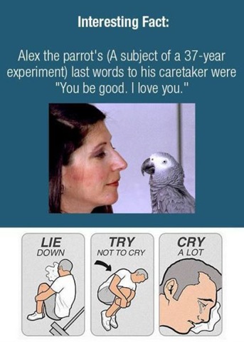 [viral-picdump-pics-11%255B2%255D.jpg]
