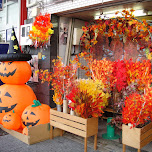 halloween is coming in Nagoya, Japan 