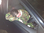 Casualty Simulation Casualty Simulation