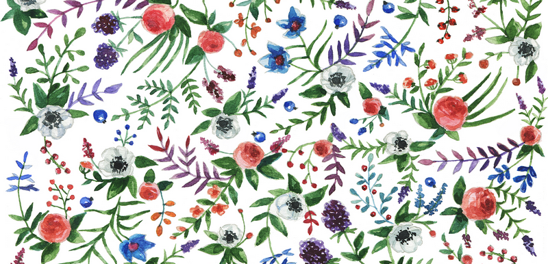 illustration by Dara Muscat