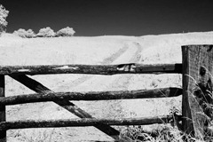 The-Gate-2