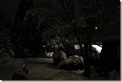 snowpocalypse  21