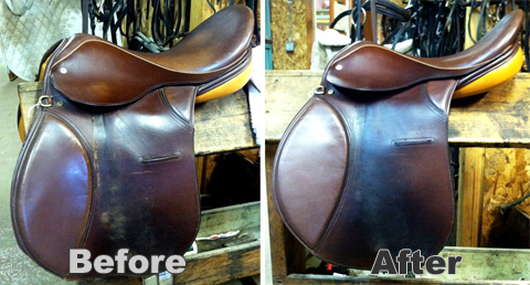 Saddlebeforeafter