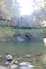 DSC_0016.jpg