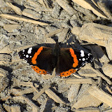 BILD0705.JPG