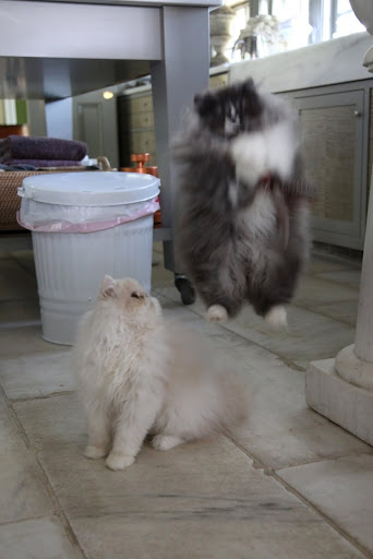 I think I got it, KK!
