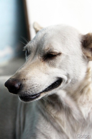 [IMG_0317%255B4%255D.jpg]