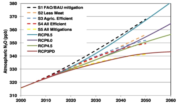 Projected atmospheric N2O concentrations for the four IPCC-AR5 representative concentration pathways (RCPs) and the five scenarios of this study. S1 = FAO population and dietary projections with no new N2O mitigation efforts; S2 = same as S1 but also 50% reduction in mean per capita meat consumption in the developed world by 2030 relative to 1980 consumption; S3 = same as S1 but improvements in agricultural efficiencies that reduce N2O emissions factors for N fertilizers and manure by 50% by 2050; S4 = same as S3 but also 50% emission reductions in industry and transportation sectors and by biomass burning; S5 = combination of S2 and S4. Eric A Davidson, 2012