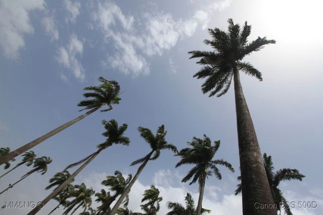 [IMG_9709%255B4%255D.jpg]