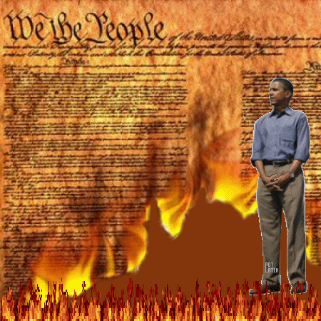 O-Constitution