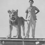 Auf dem Dach eines Safarijeeps © Foto: Archiv Norman Carr Safaris