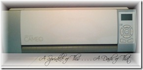 Silhouette Cameo {A Sprinkle of This . . . . A Dash of That} Silhouette Cameo {A Sprinkle of This . . . . A Dash of That}