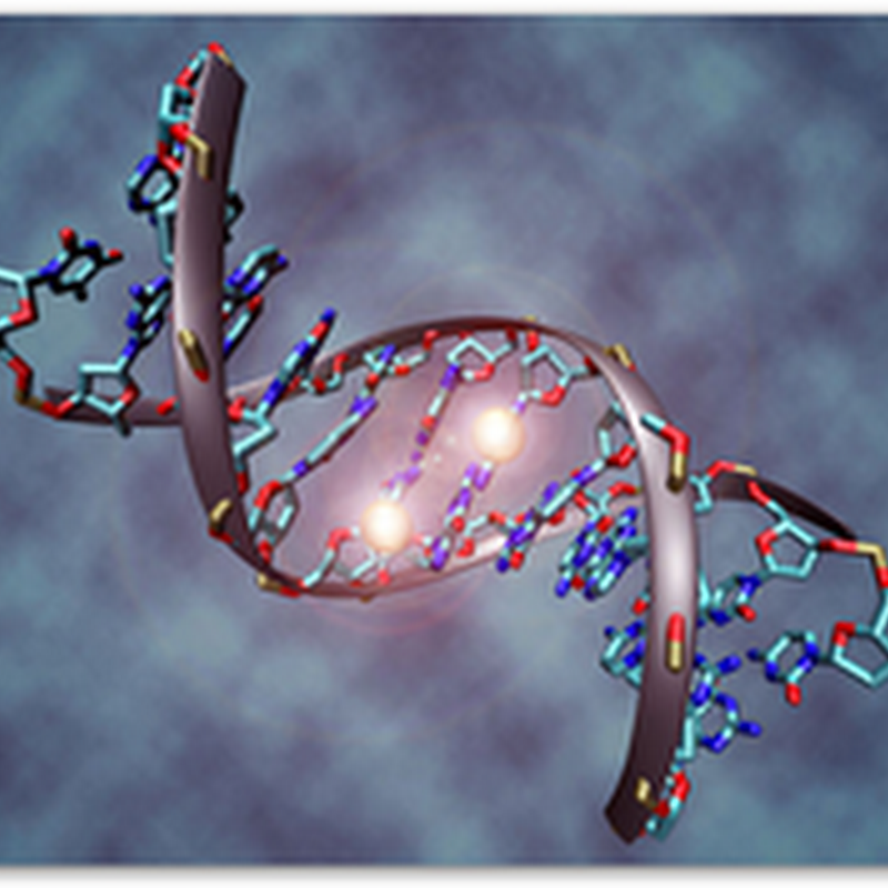 Retail DNA SNP Testing Results Compared Can Have A Lot of Variances,  Won’t Be As Accurate As a Full Sequence So Best To Leave It Up to the Professionals..