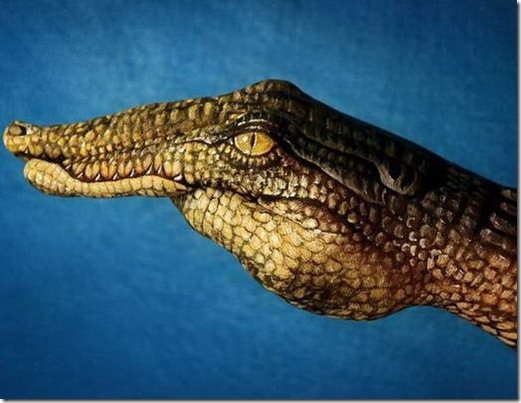 guido-daniele16%5B2%5D guido-daniele16%5B2%5D