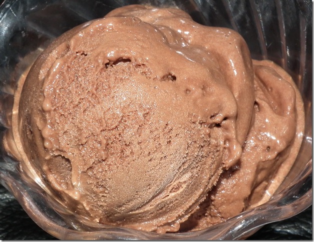 TWD--Creamy Chocolate Sorbet 6-30-11