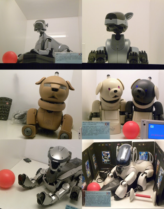 20110915機器人-9