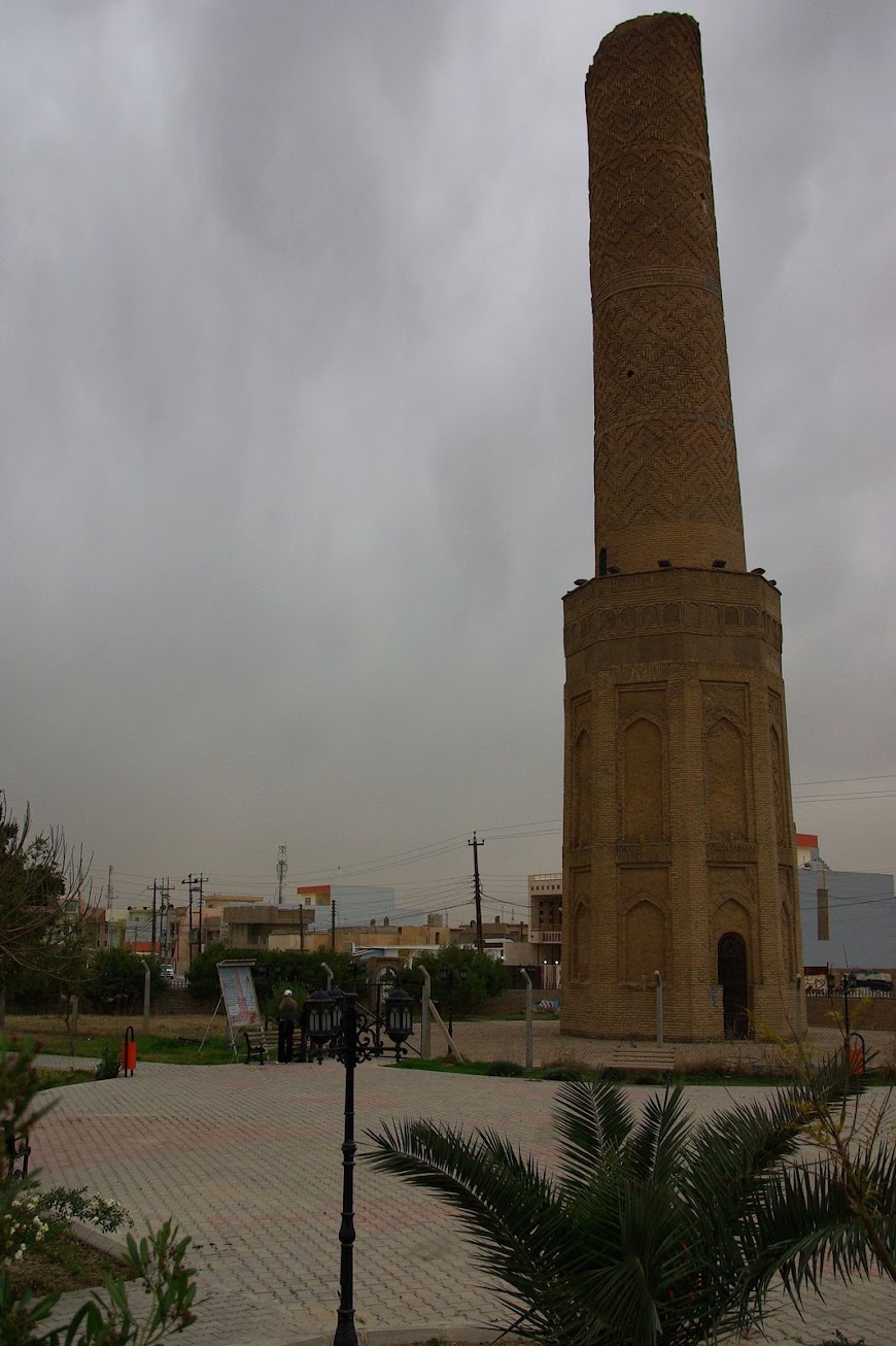 IMGP3105.jpg