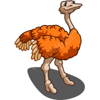 [Orange-Ostrich4.png]